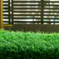 How Artificial Turf Improves Arizona Backyards